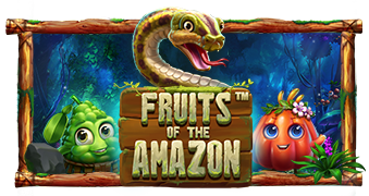 亚马逊果实