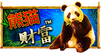 熊猫的财富
