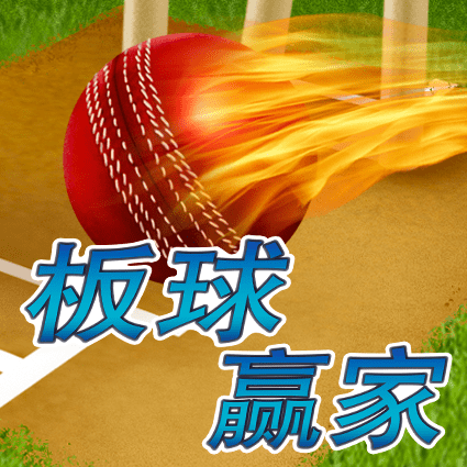 板球赢家