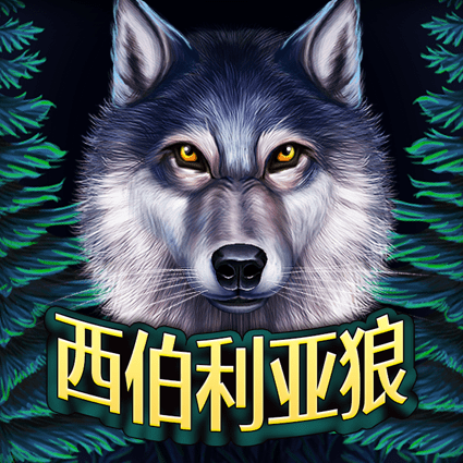 西伯利亚狼